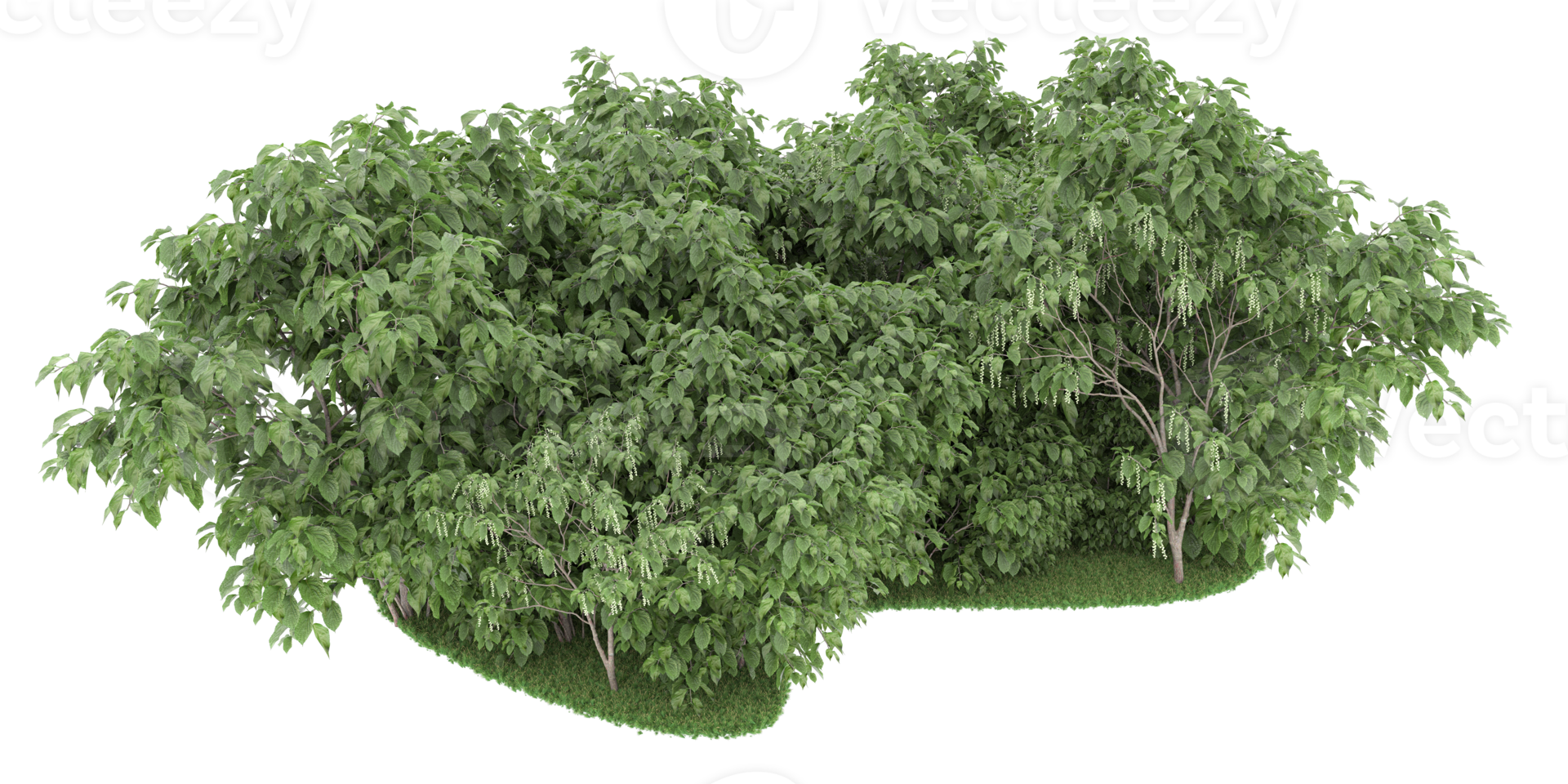 Realistic forest isolated on transparent background. 3d rendering - illustration png