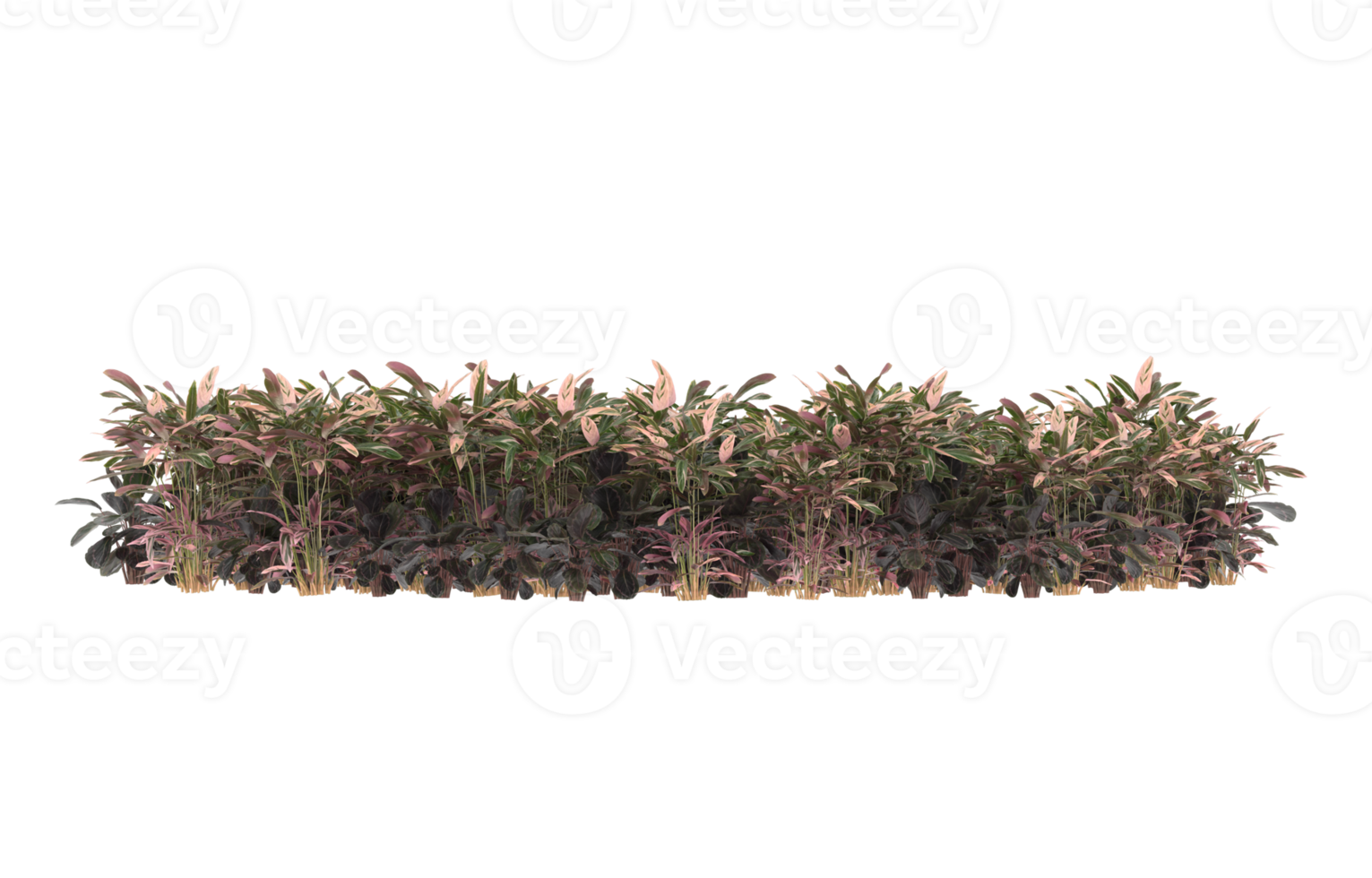 Realistic foliage isolated on transparent background. 3d rendering - illustration png
