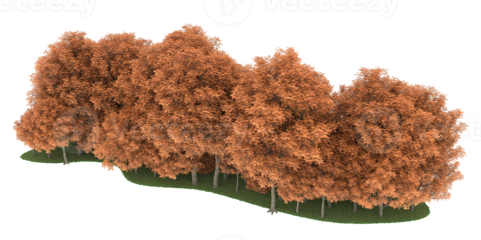 Realistic forest isolated on transparent background. 3d rendering - illustration png