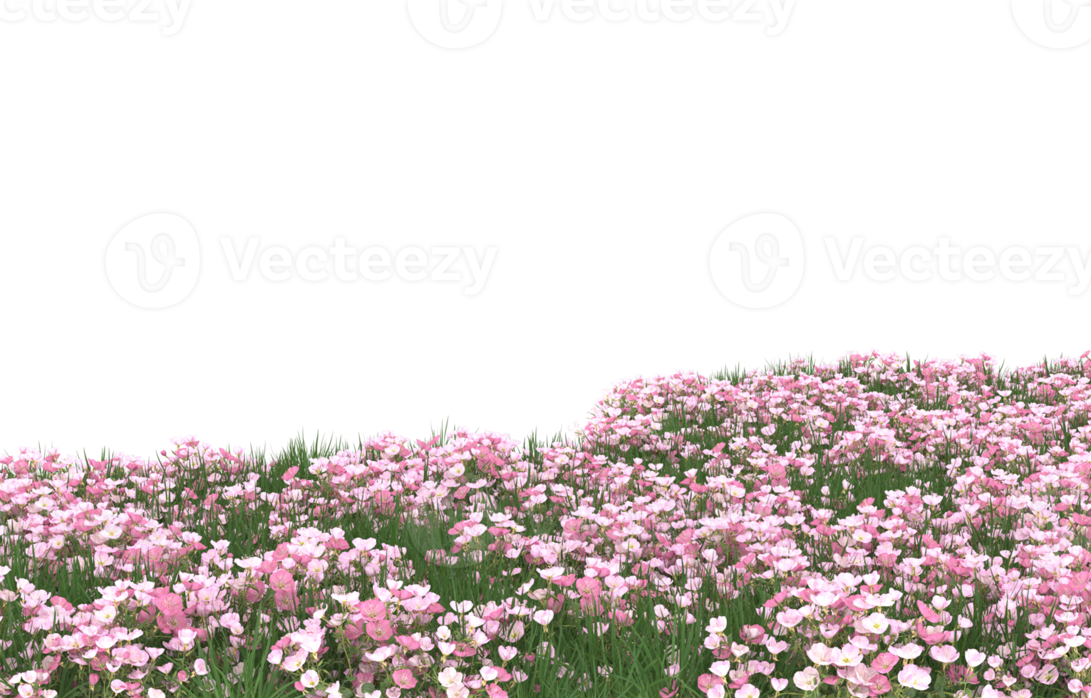 Realistic foliage isolated on transparent background. 3d rendering - illustration png