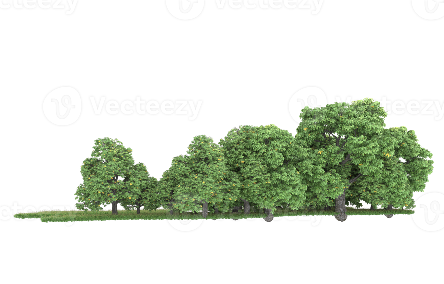 realistico foresta isolato su trasparente sfondo. 3d interpretazione - illustrazione png