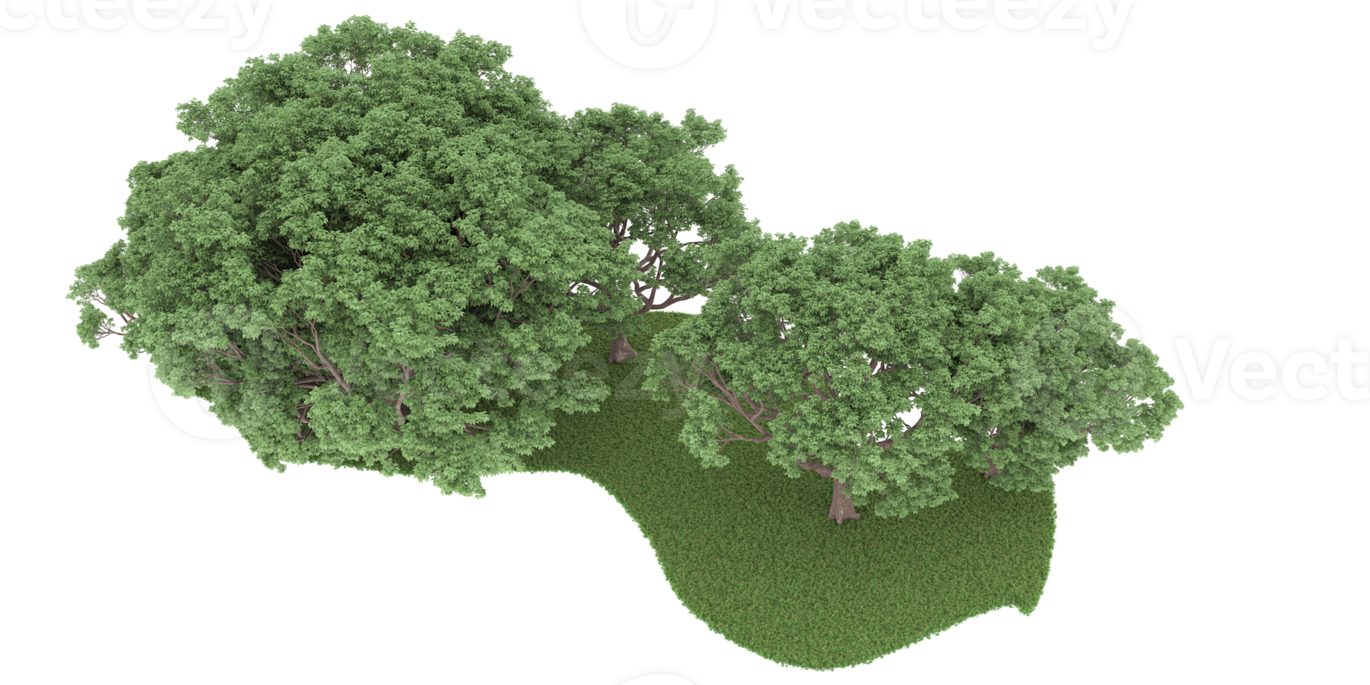 realistico foresta isolato su trasparente sfondo. 3d interpretazione - illustrazione png