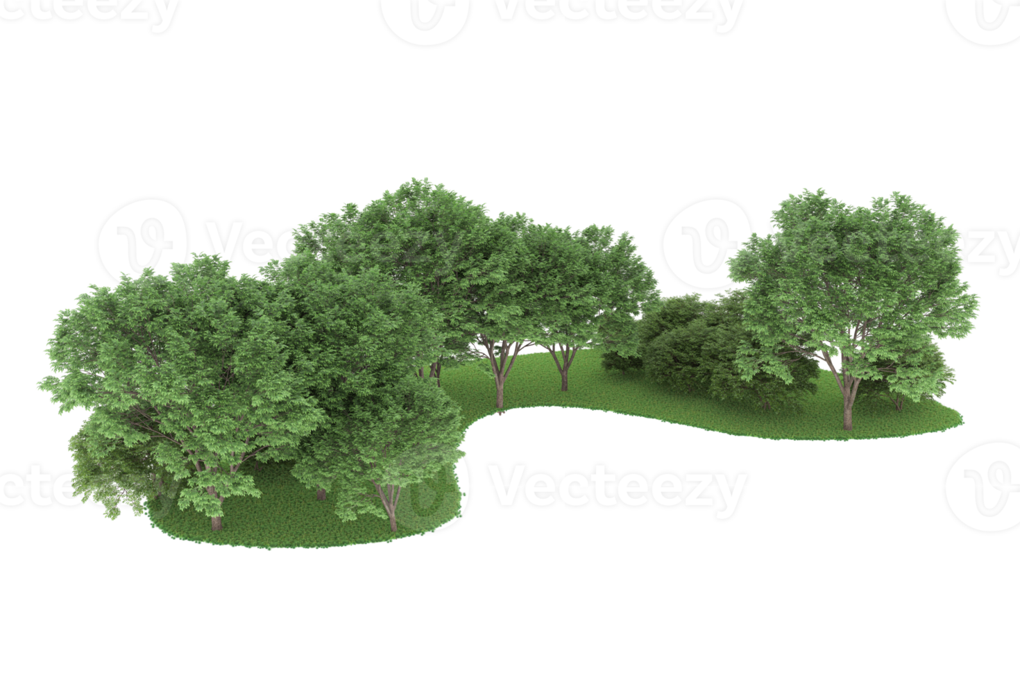 realistisk skog isolerat på transparent bakgrund. 3d tolkning - illustration png