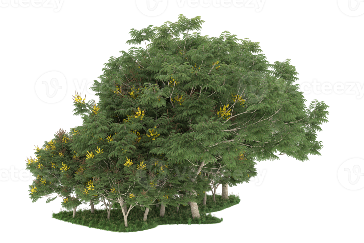 Realistic forest isolated on transparent background. 3d rendering - illustration png