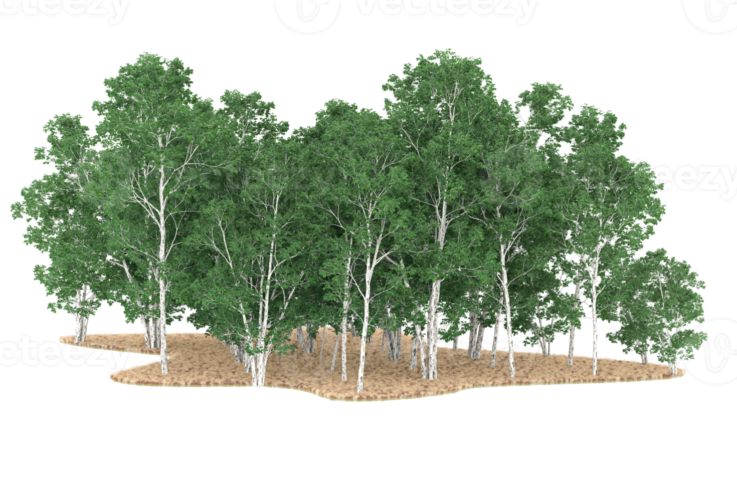Realistic forest isolated on transparent background. 3d rendering - illustration png