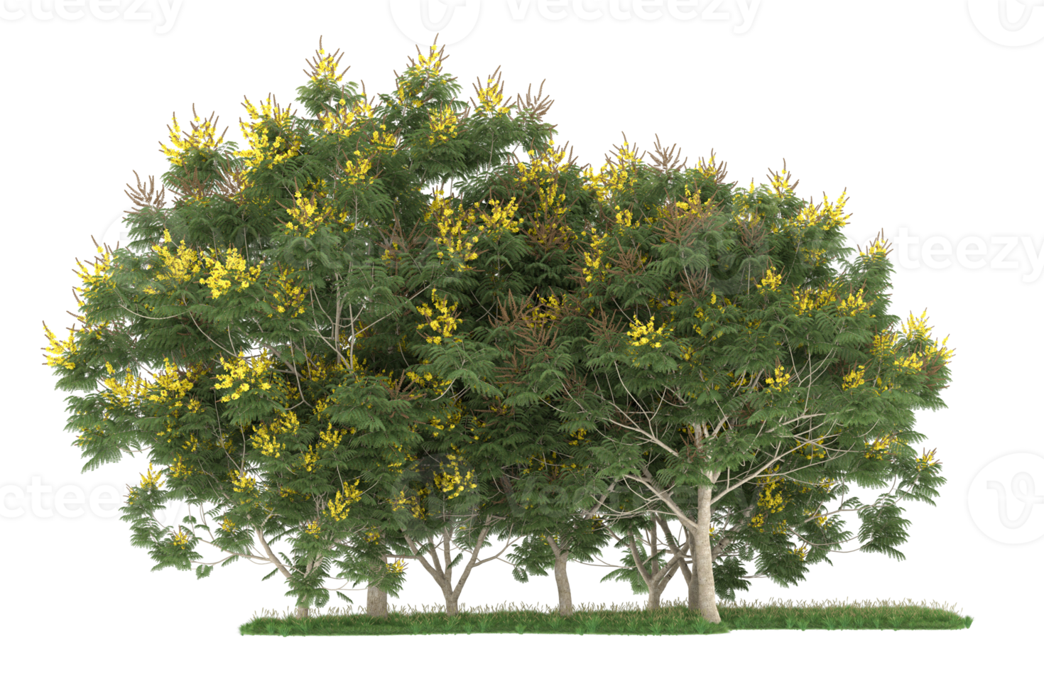 Realistic forest isolated on transparent background. 3d rendering - illustration png