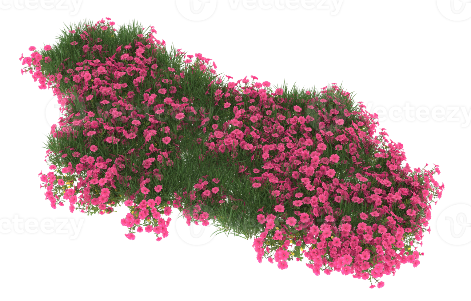 Realistic foliage isolated on transparent background. 3d rendering - illustration png