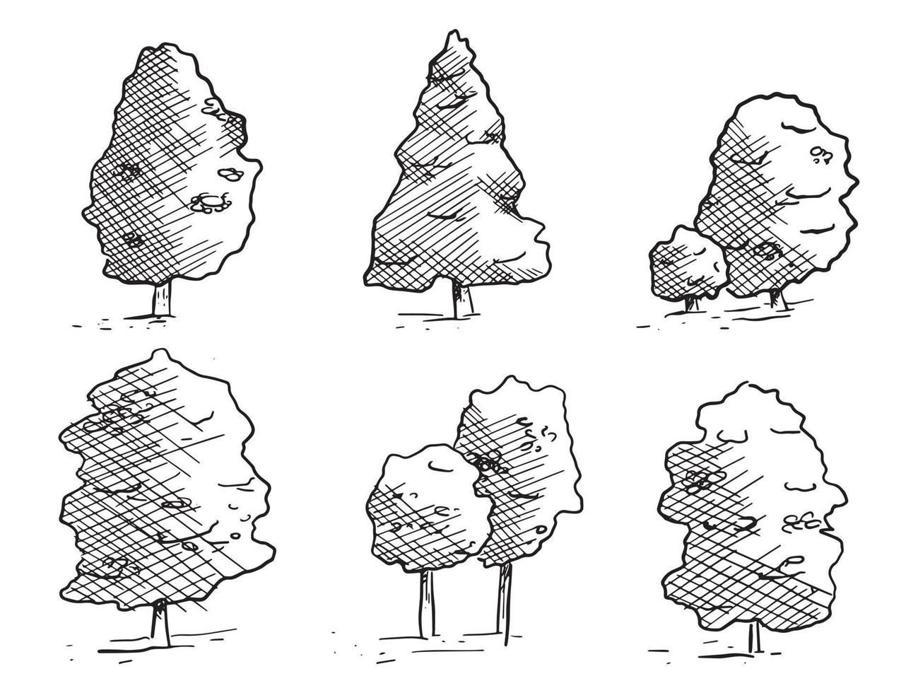 Set of vector isolated black and white trees in sketch style. Lush foliage and coniferous spruce.