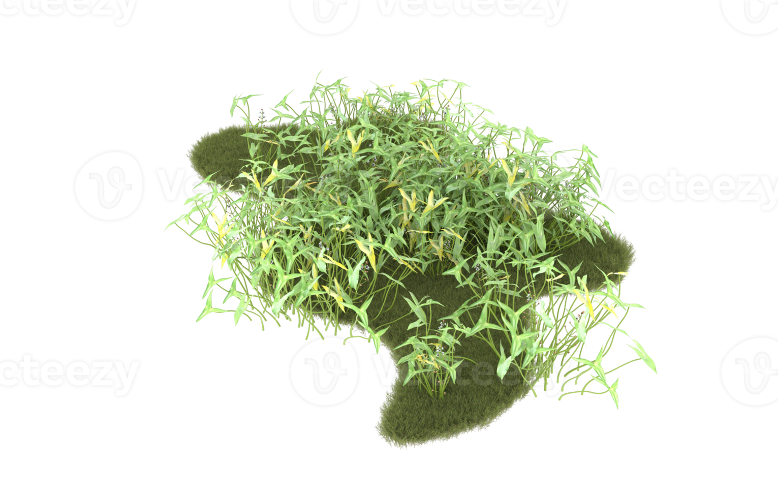 realistisk lövverk isolerat på transparent bakgrund. 3d tolkning - illustration png