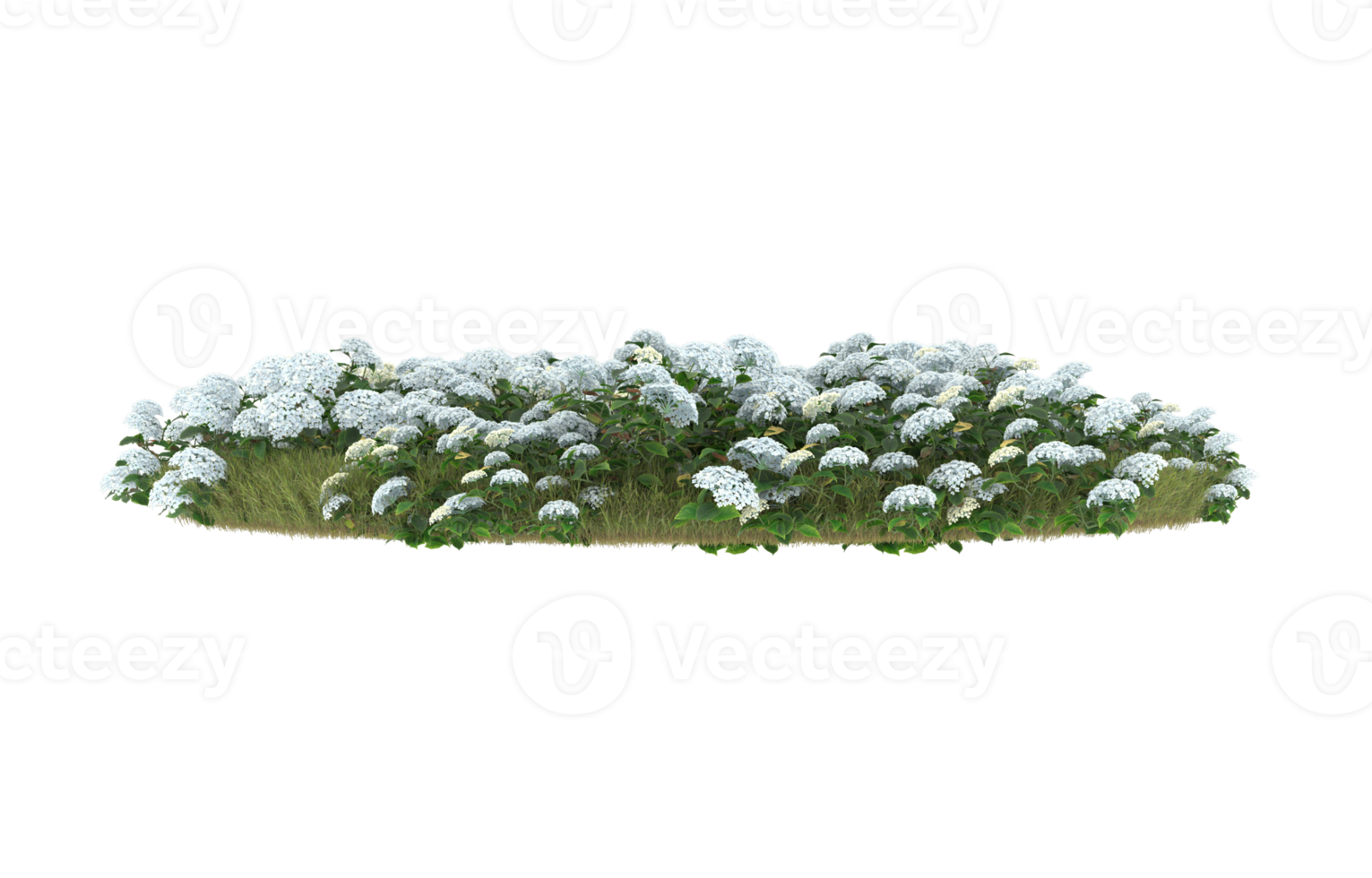 Realistic foliage isolated on transparent background. 3d rendering - illustration png