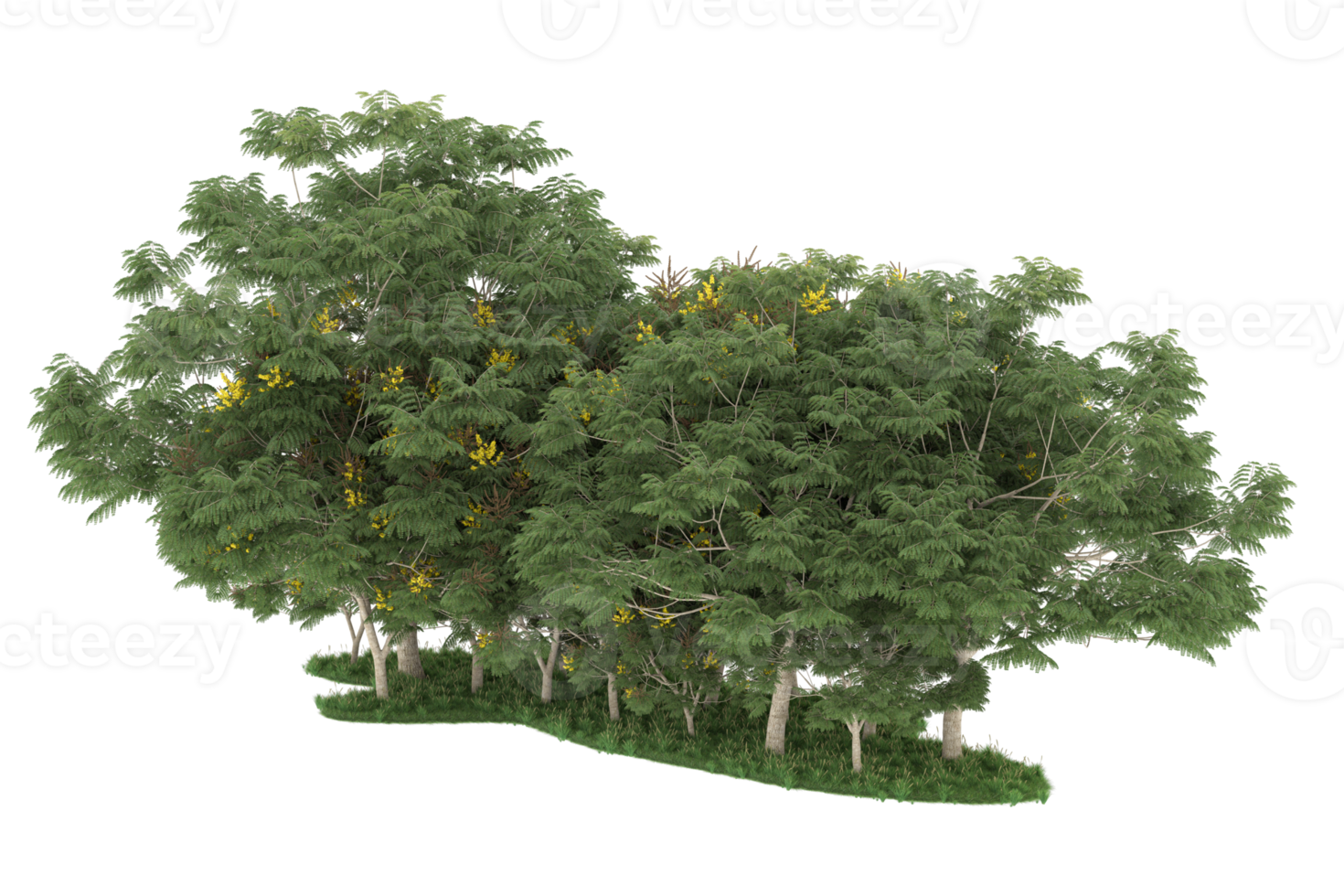 Realistic forest isolated on transparent background. 3d rendering - illustration png
