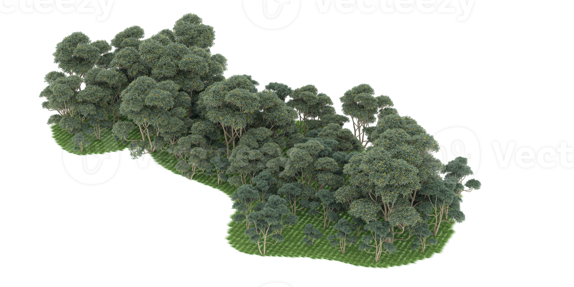 Realistic forest isolated on transparent background. 3d rendering - illustration png