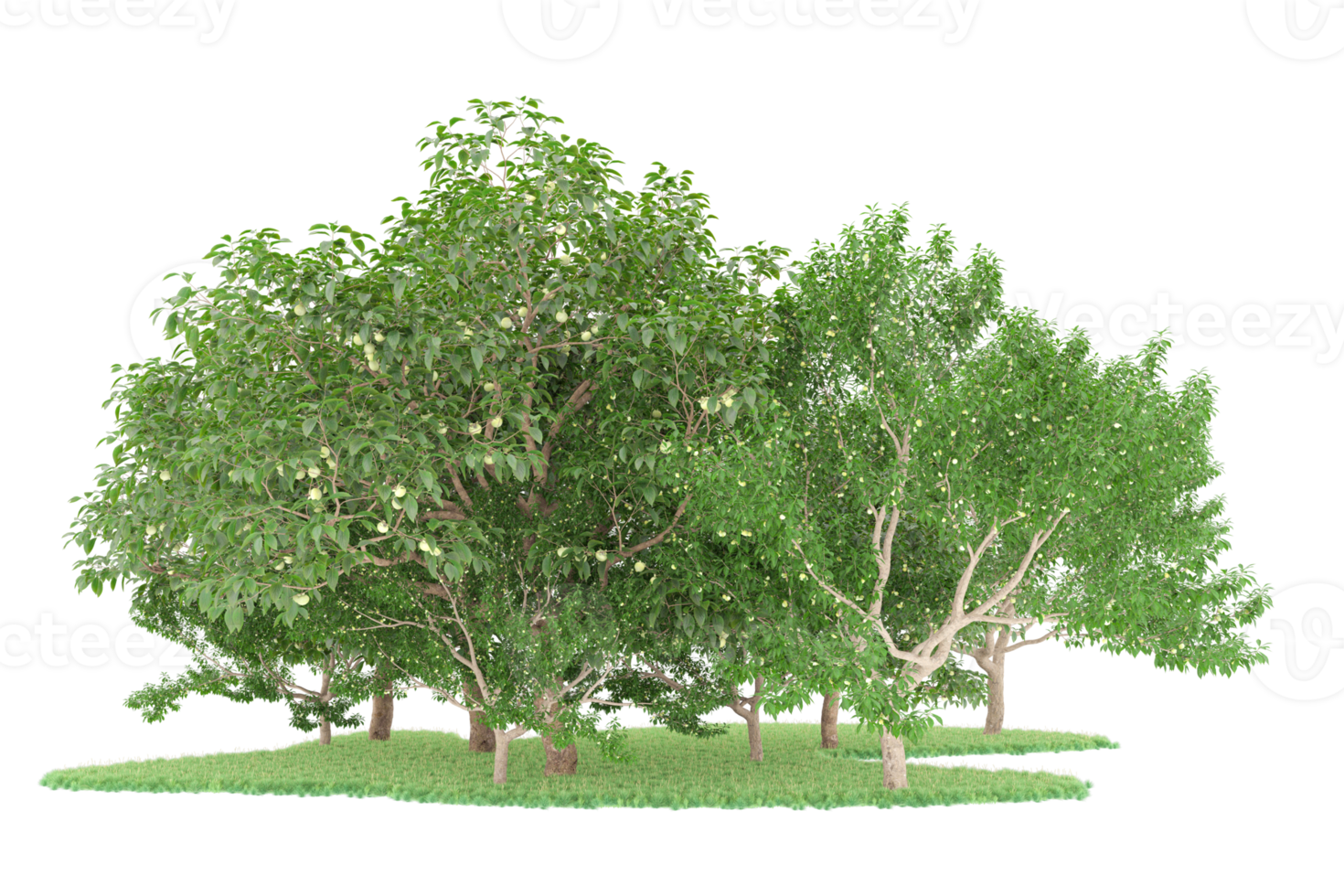 Realistic forest isolated on transparent background. 3d rendering - illustration png