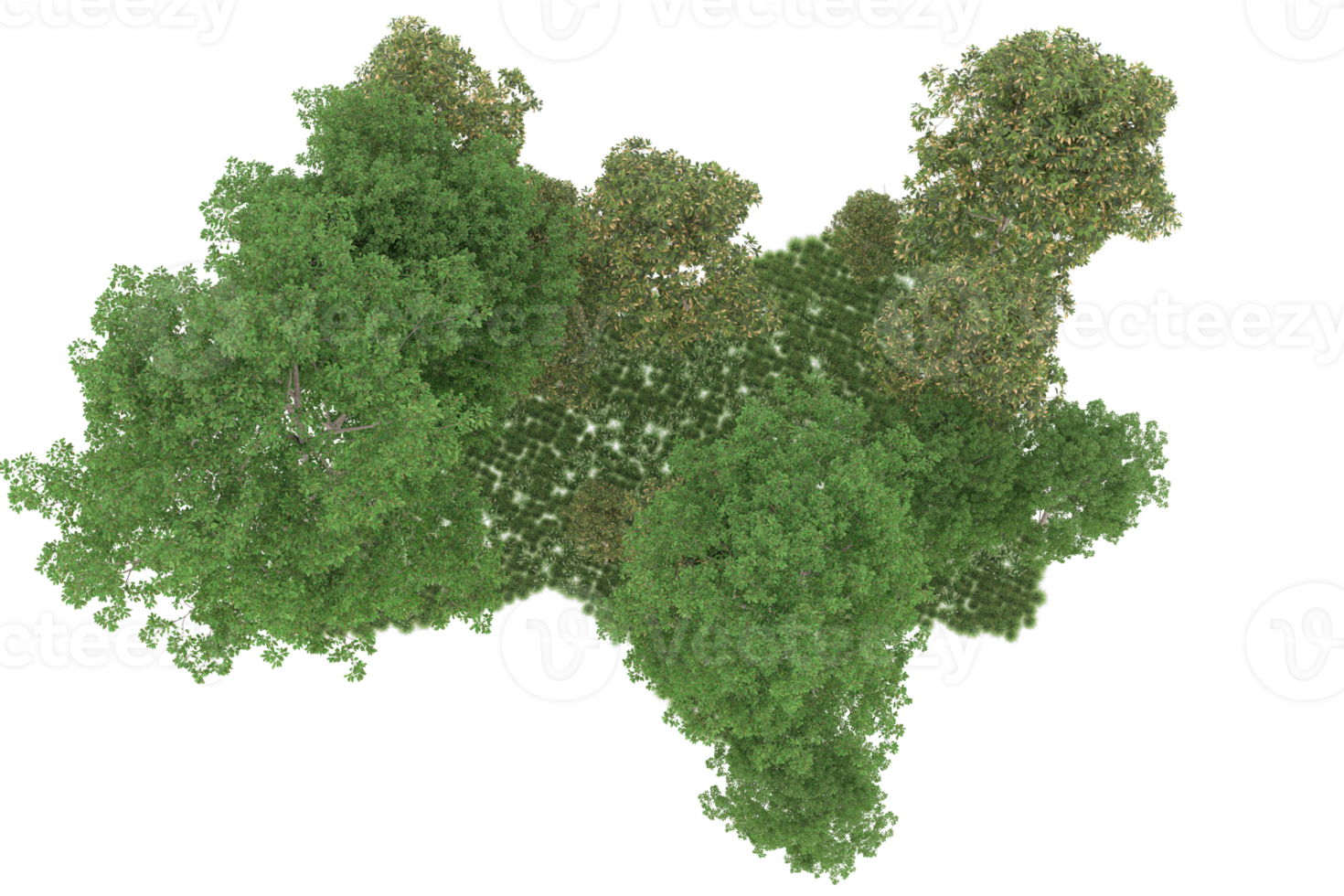 Realistic forest isolated on transparent background. 3d rendering - illustration png