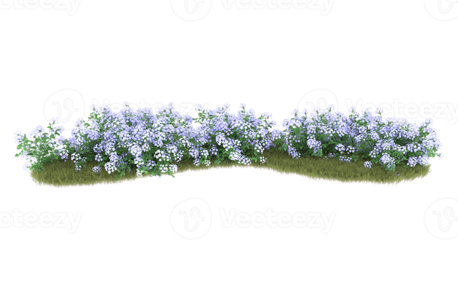 Realistic foliage isolated on transparent background. 3d rendering - illustration png