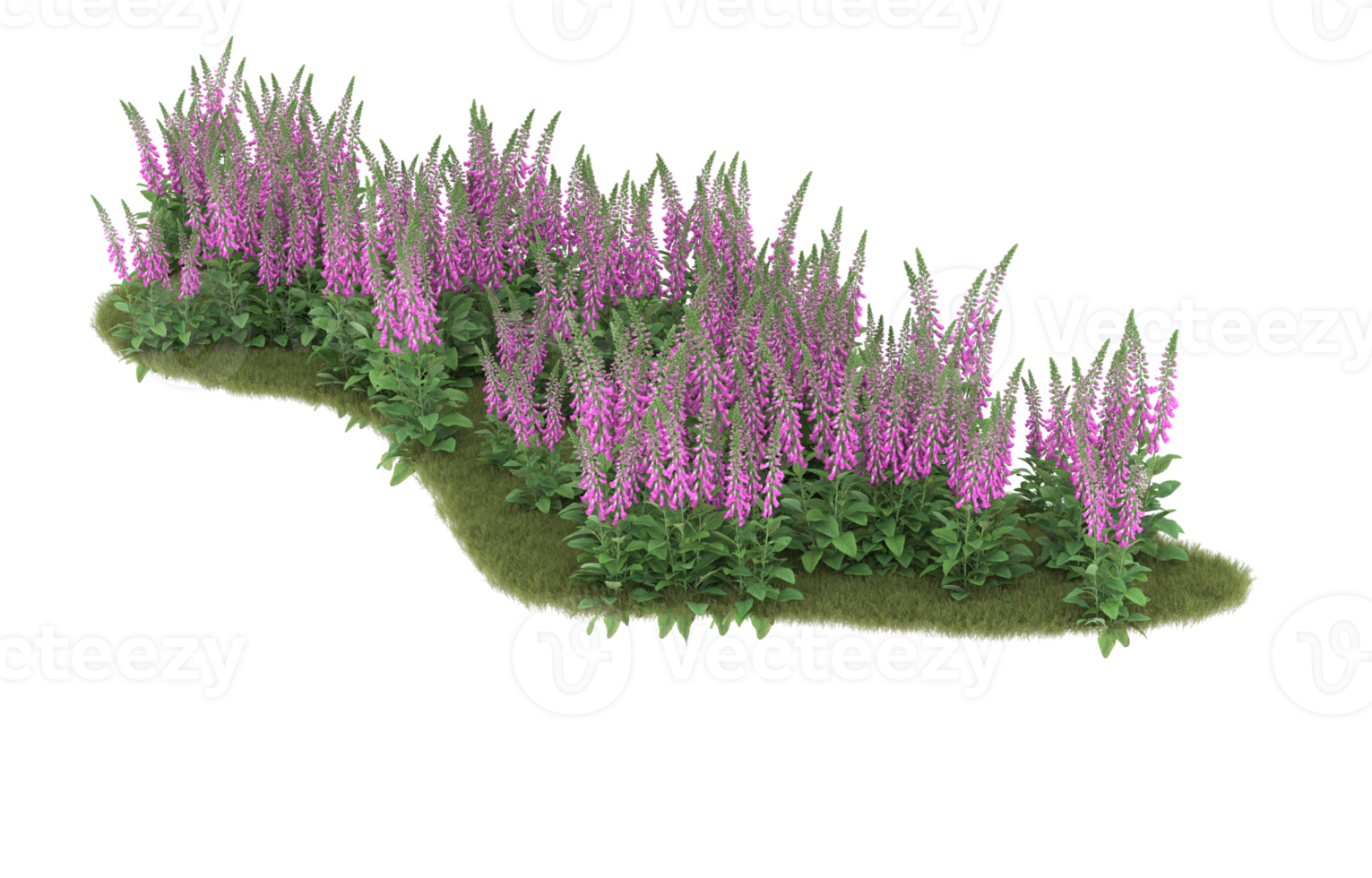 Realistic foliage isolated on transparent background. 3d rendering - illustration png