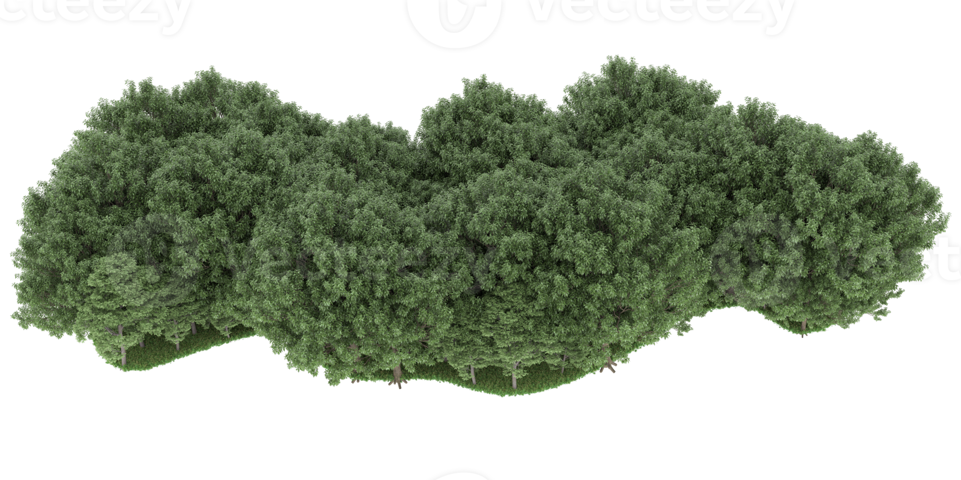 Realistic forest isolated on transparent background. 3d rendering - illustration png