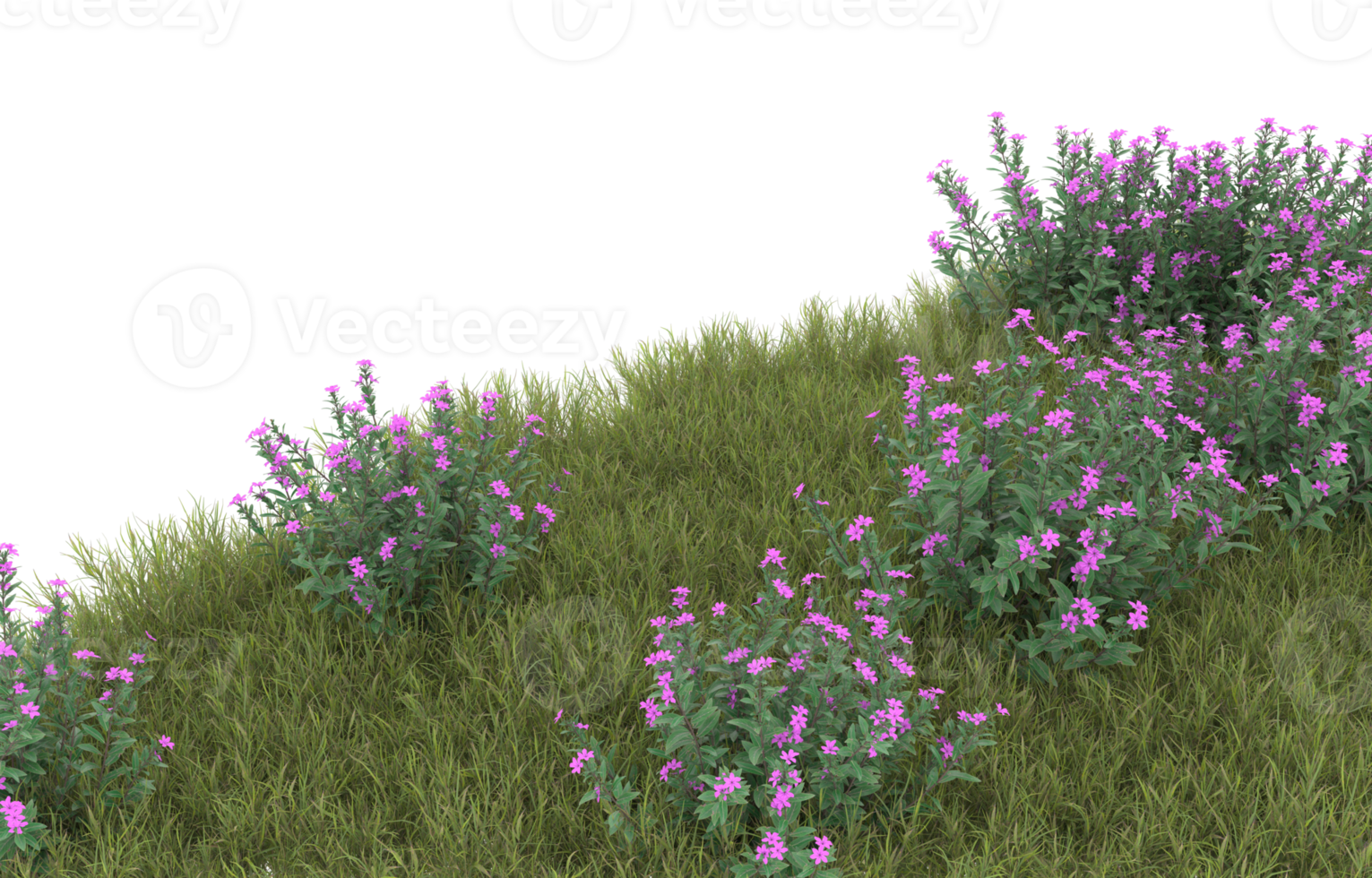 Realistic foliage isolated on transparent background. 3d rendering - illustration png