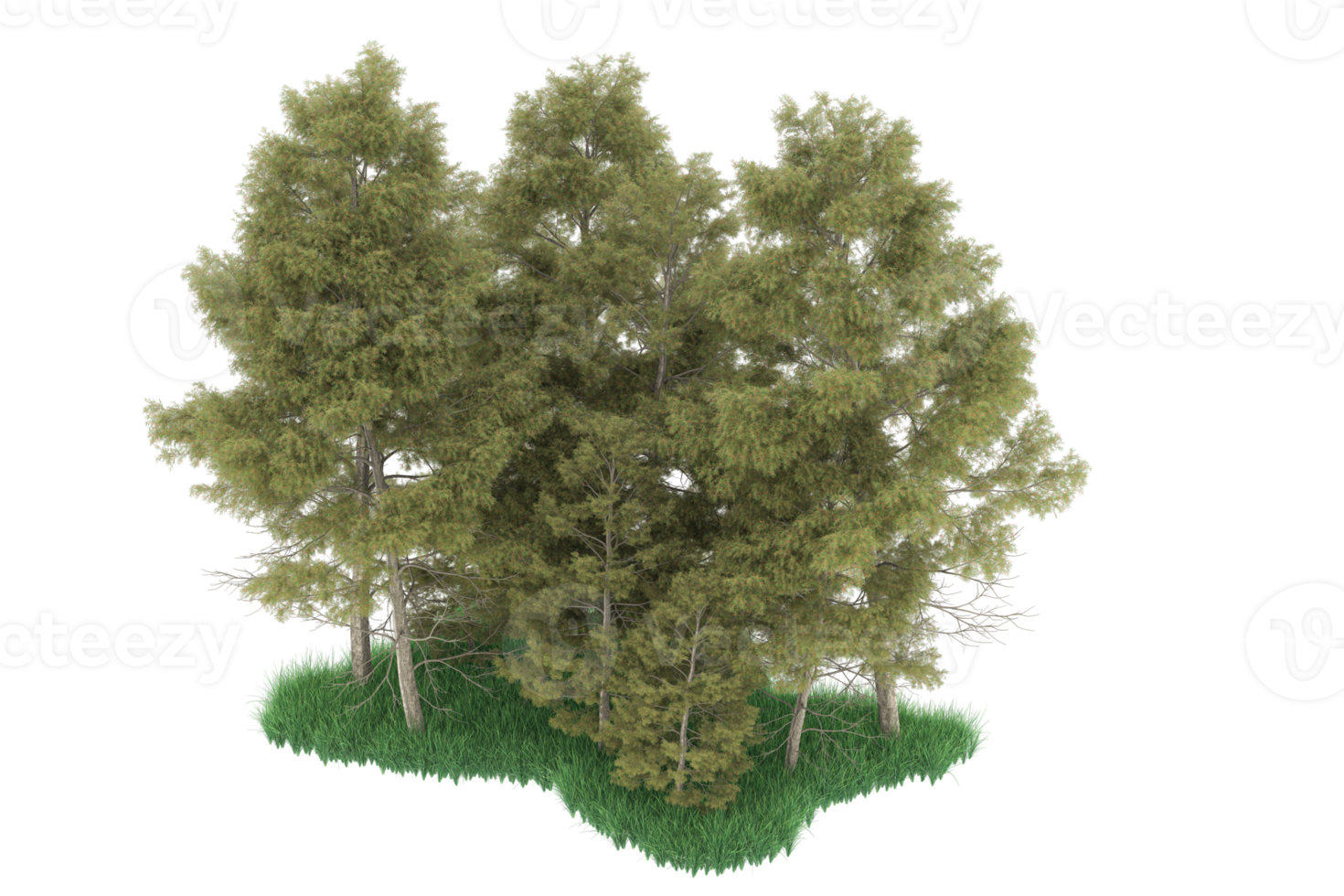 Realistic forest isolated on transparent background. 3d rendering - illustration png