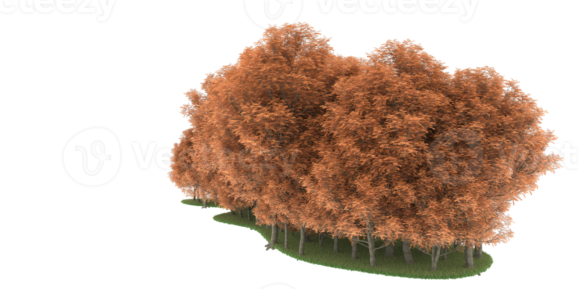 Realistic forest isolated on transparent background. 3d rendering - illustration png