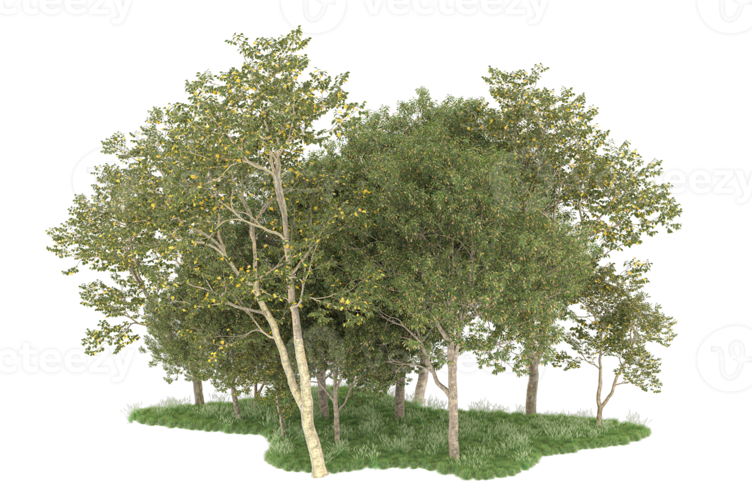 Realistic forest isolated on transparent background. 3d rendering - illustration png