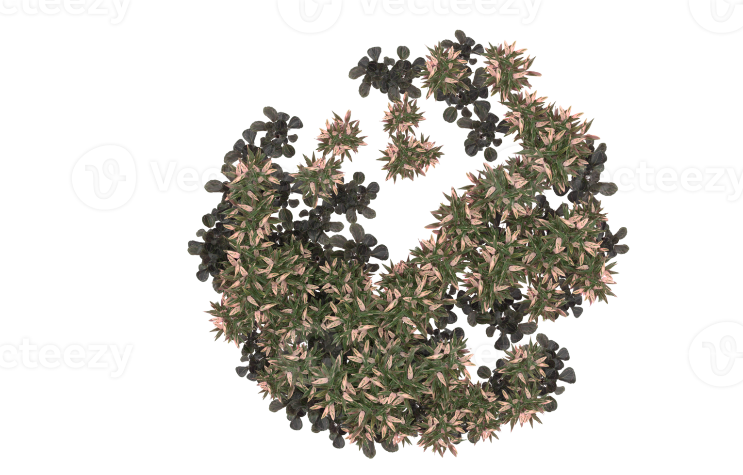 Realistic foliage isolated on transparent background. 3d rendering - illustration png