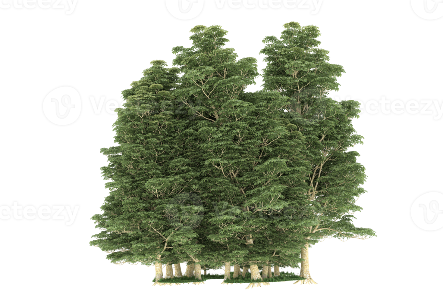 forêt réaliste isolée sur fond transparent. rendu 3d - illustration png