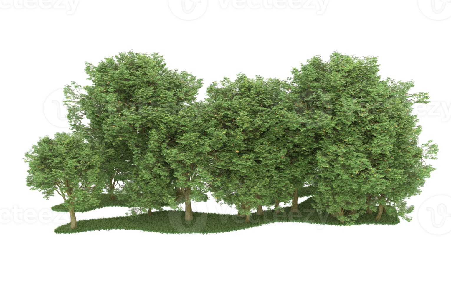 Realistic forest isolated on transparent background. 3d rendering - illustration png