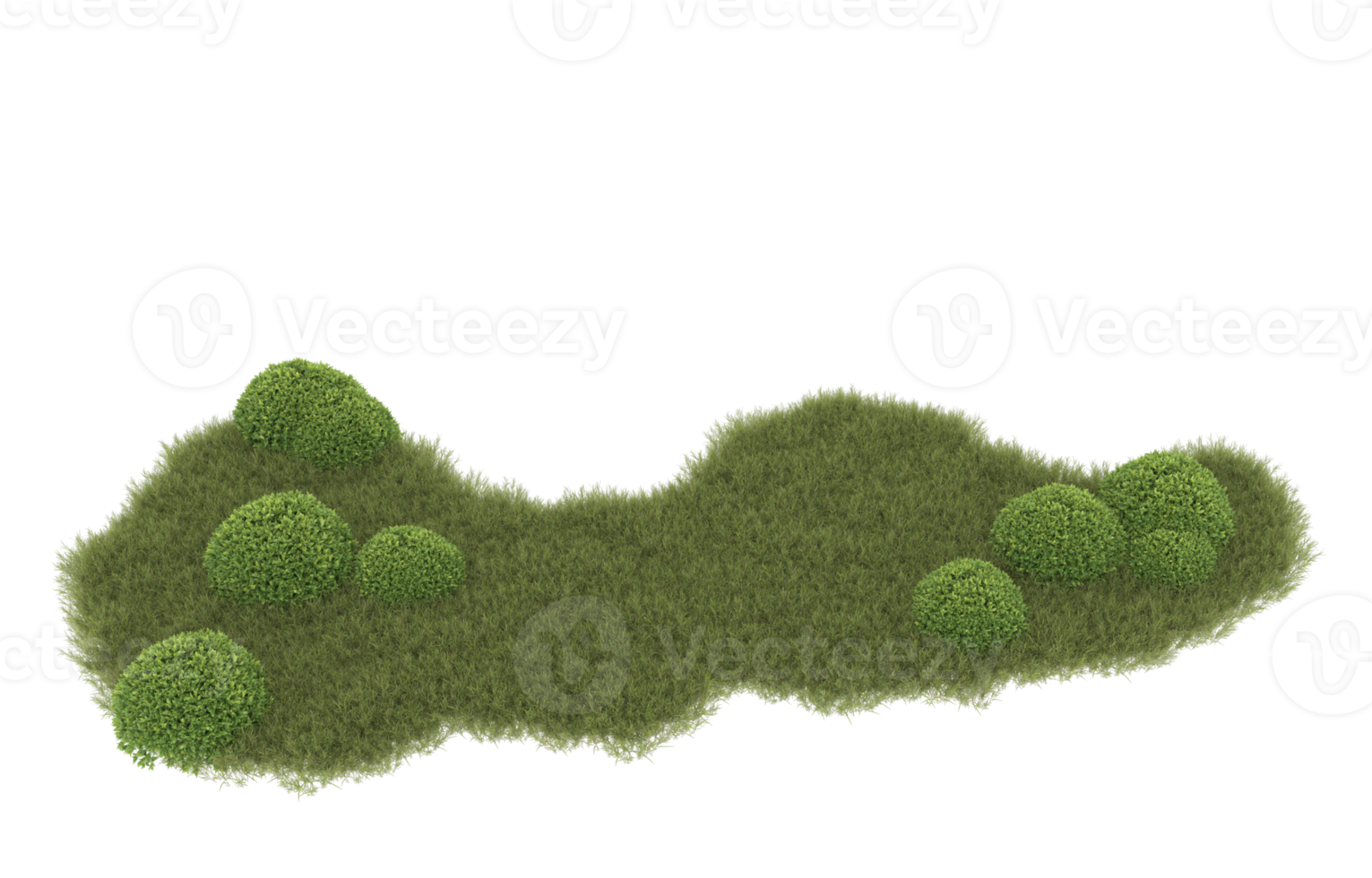 realistisk lövverk isolerat på transparent bakgrund. 3d tolkning - illustration png