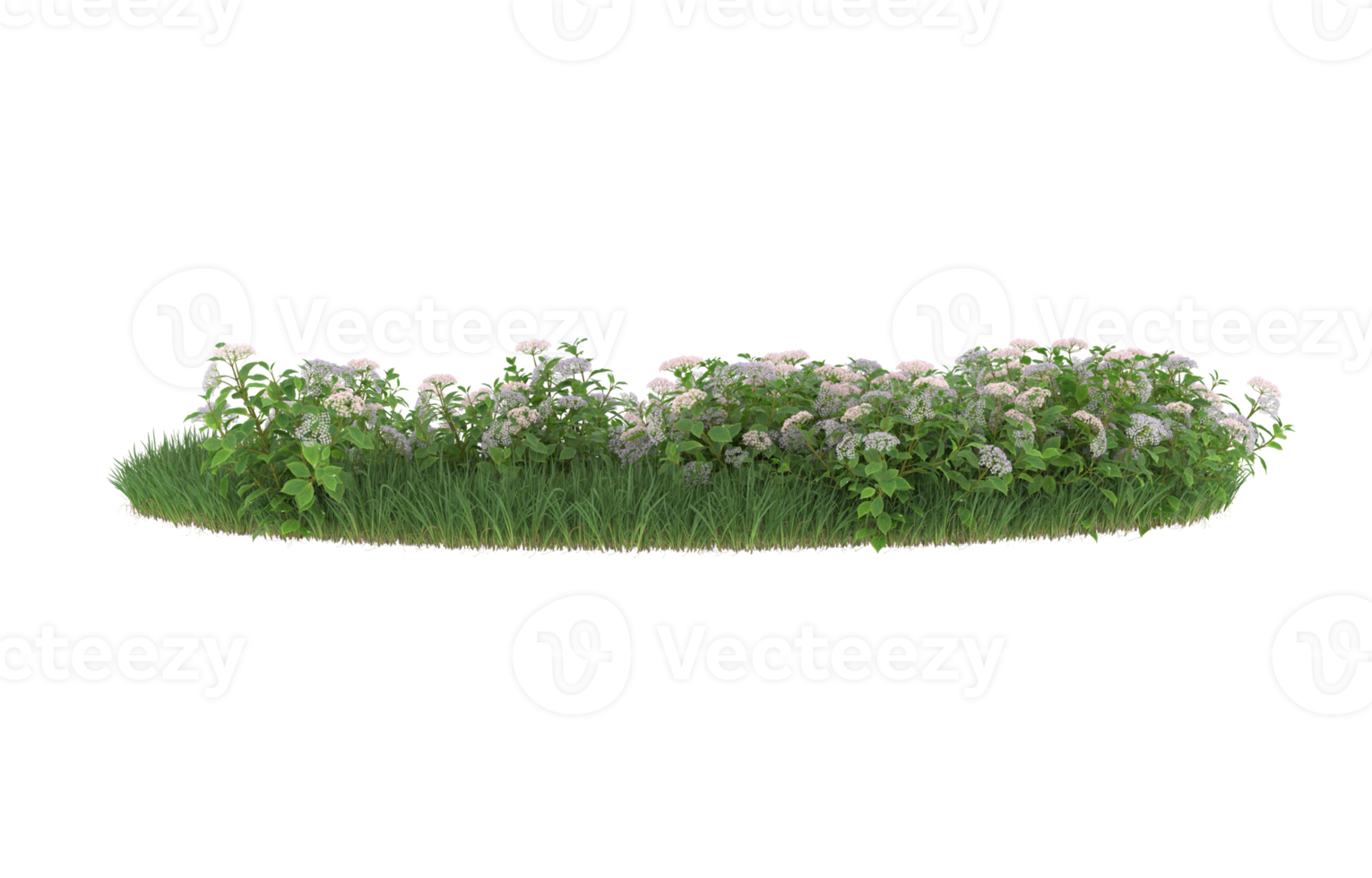 Realistic foliage isolated on transparent background. 3d rendering - illustration png
