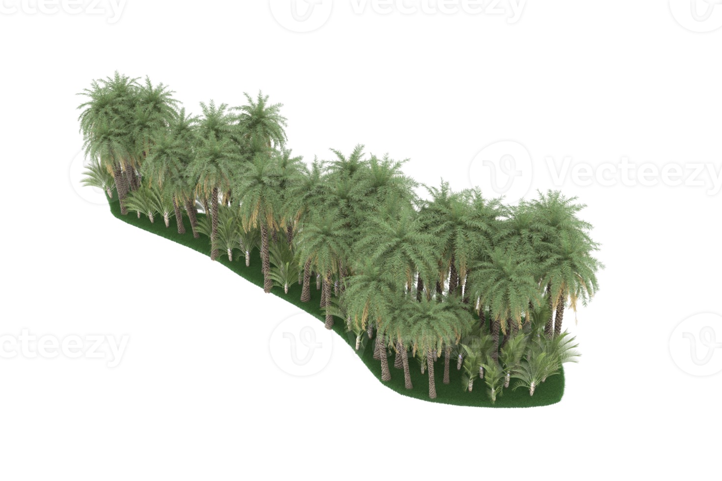 Palm trees isolated on transparent background. 3d rendering - illustration png