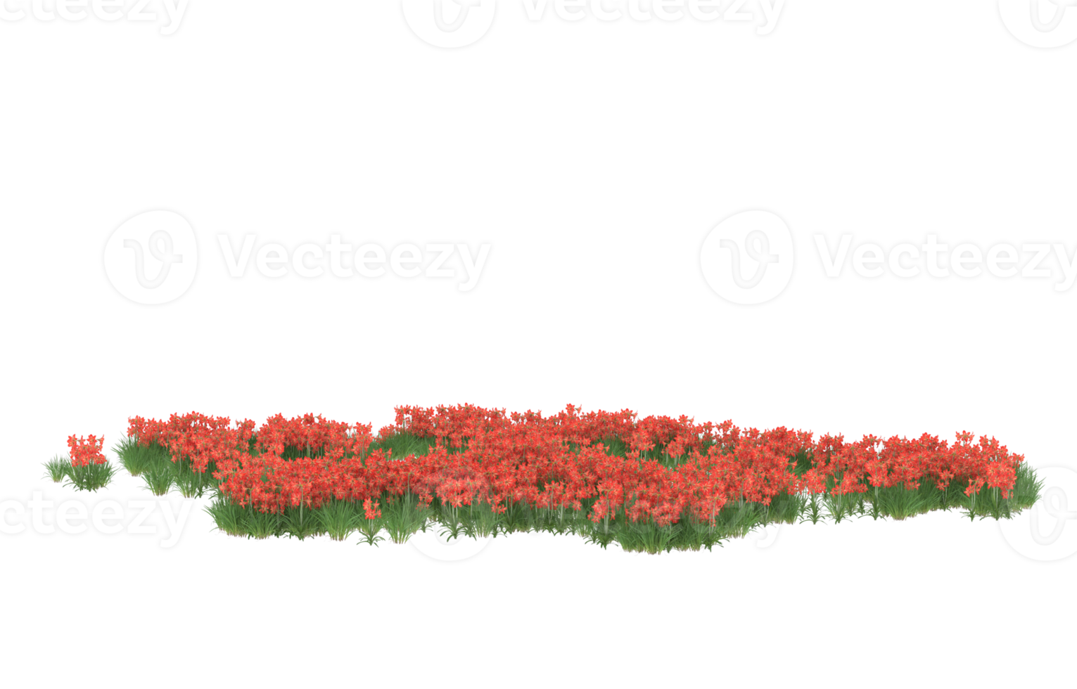 Realistic foliage isolated on transparent background. 3d rendering - illustration png