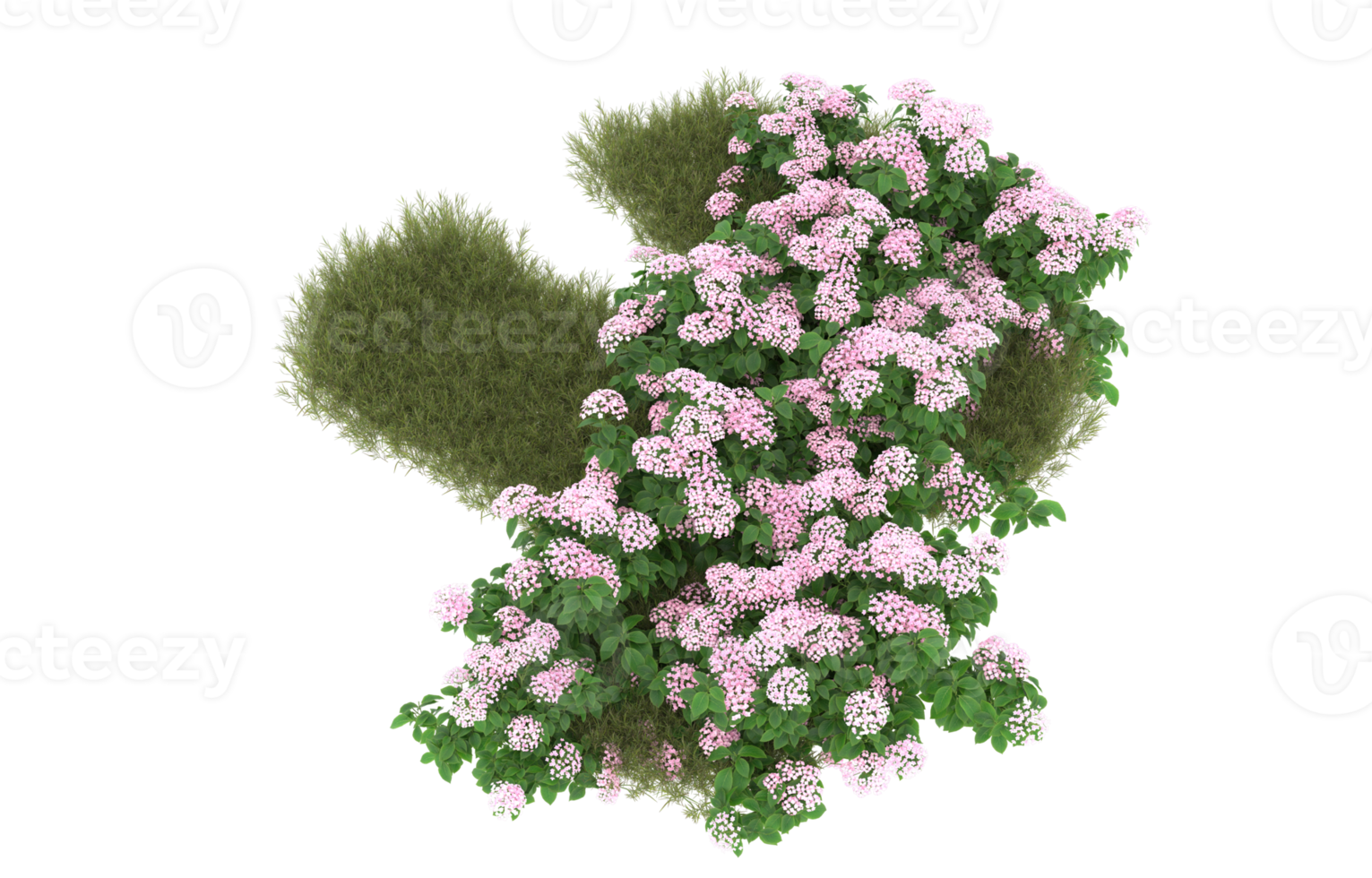 Realistic foliage isolated on transparent background. 3d rendering - illustration png