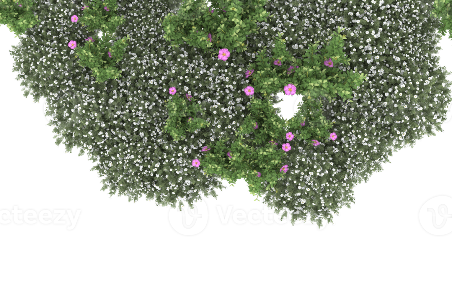 Realistic foliage isolated on transparent background. 3d rendering - illustration png