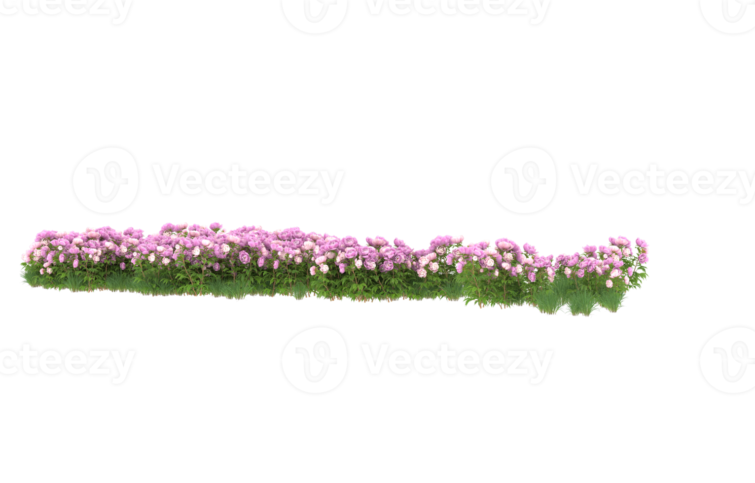 realistisk lövverk isolerat på transparent bakgrund. 3d tolkning - illustration png