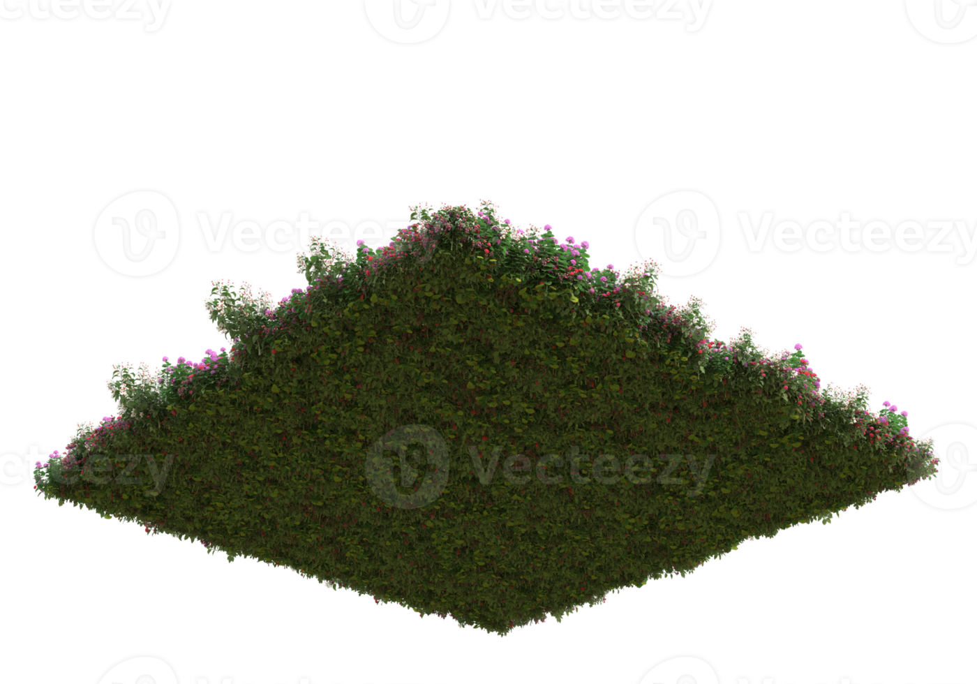 Realistic foliage isolated on transparent background. 3d rendering - illustration png