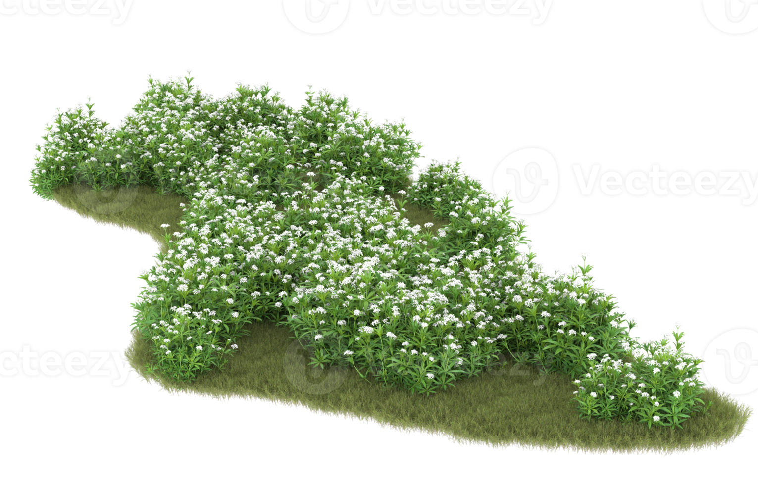 Realistic foliage isolated on transparent background. 3d rendering - illustration png