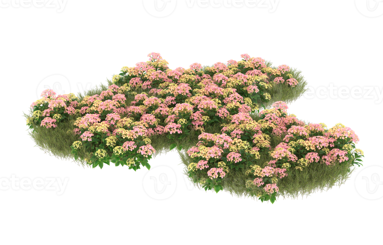 Realistic foliage isolated on transparent background. 3d rendering - illustration png