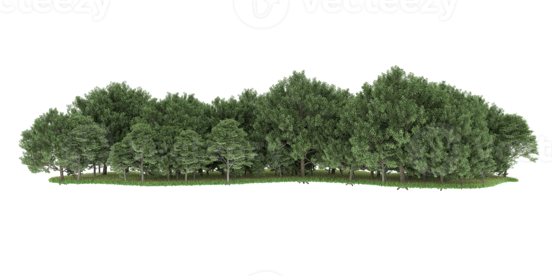 Realistic forest isolated on transparent background. 3d rendering - illustration png