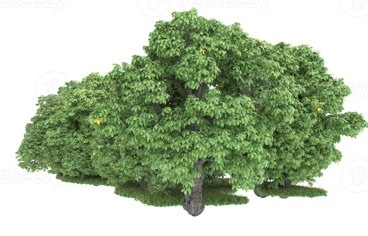 Realistic forest isolated on transparent background. 3d rendering - illustration png