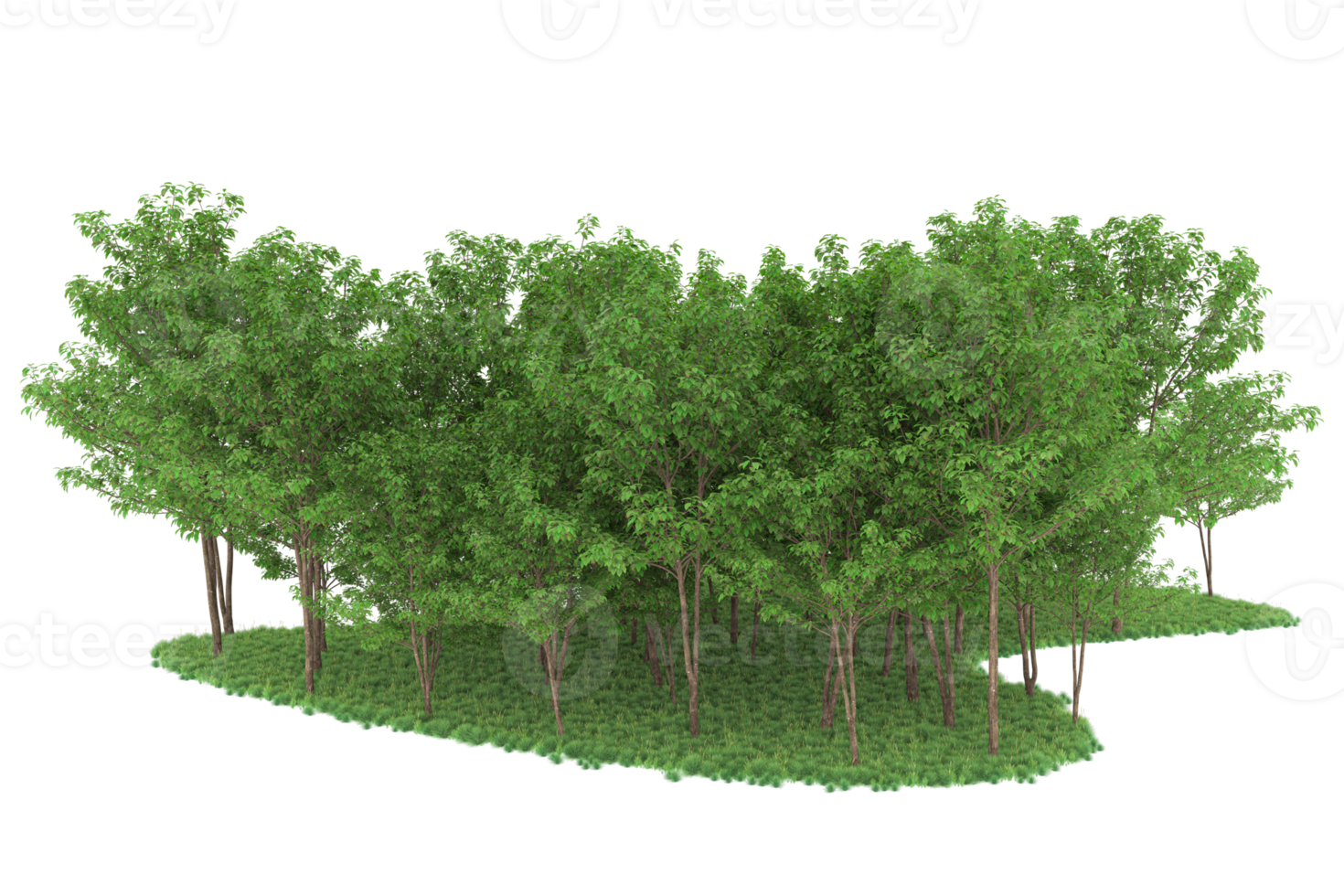 Realistic forest isolated on transparent background. 3d rendering - illustration png