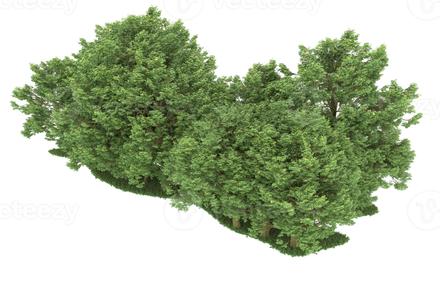 Realistic forest isolated on transparent background. 3d rendering - illustration png