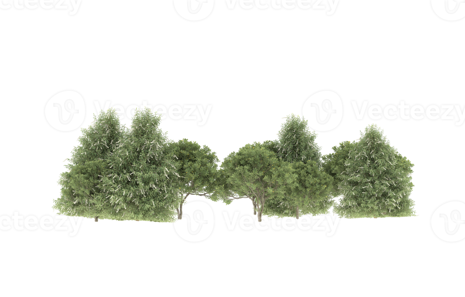 Realistic foliage isolated on transparent background. 3d rendering - illustration png