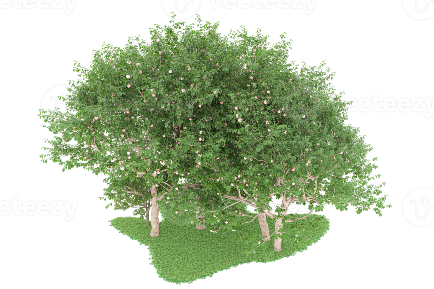 Realistic forest isolated on transparent background. 3d rendering - illustration png