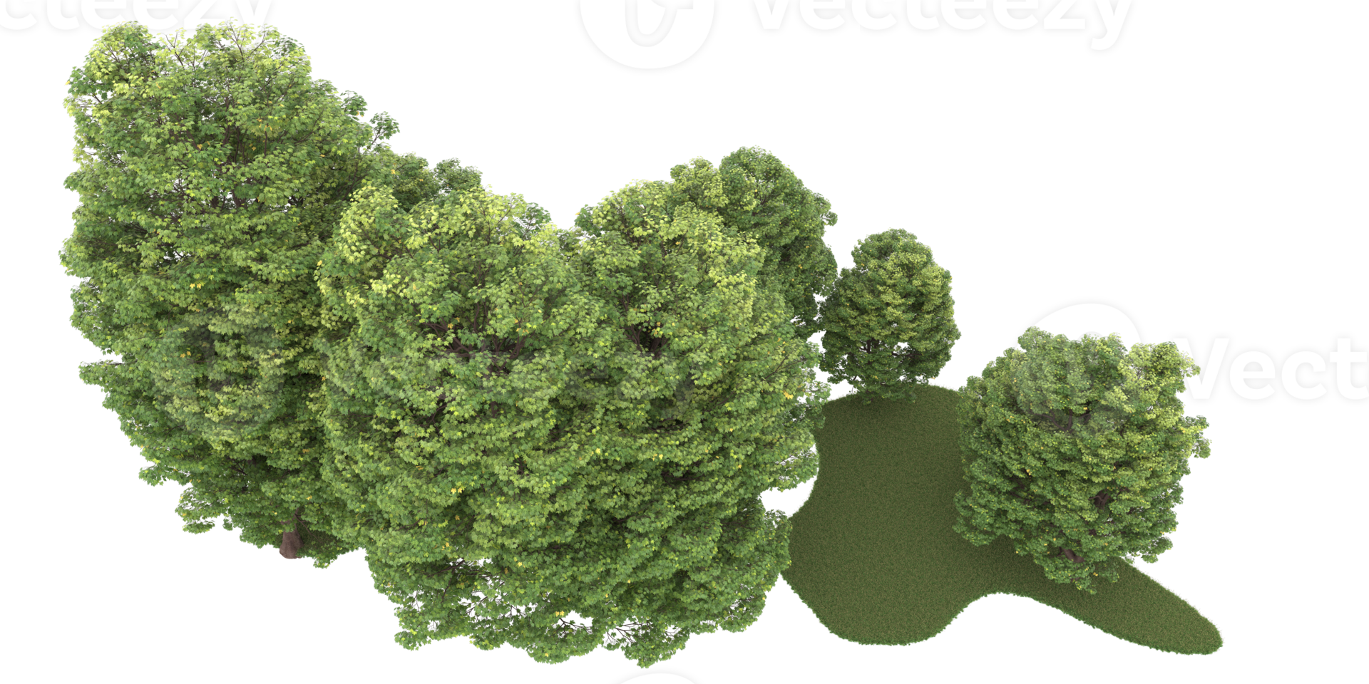 Realistic forest isolated on transparent background. 3d rendering - illustration png