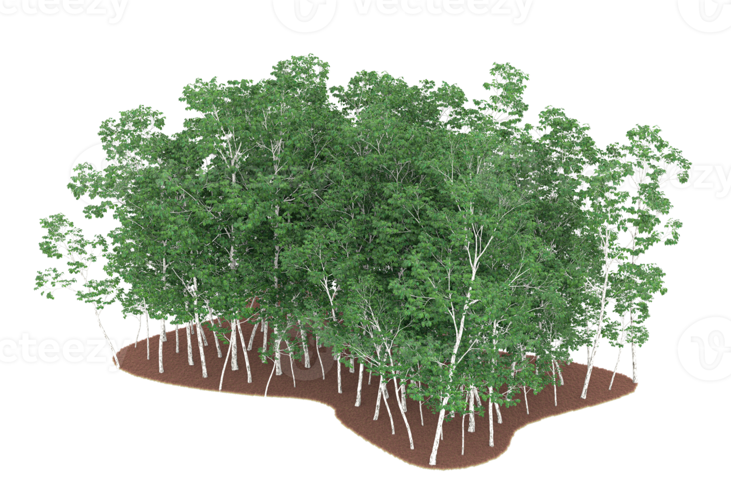 Realistic forest isolated on transparent background. 3d rendering - illustration png
