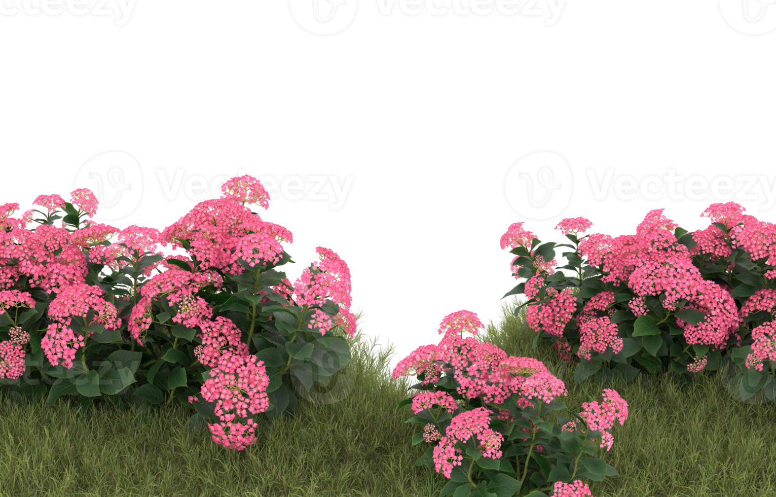 Realistic foliage isolated on transparent background. 3d rendering - illustration png