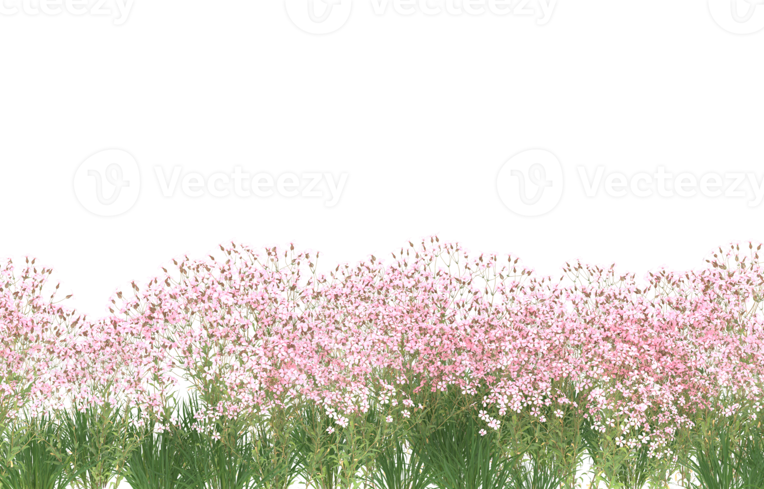 Realistic foliage isolated on transparent background. 3d rendering - illustration png