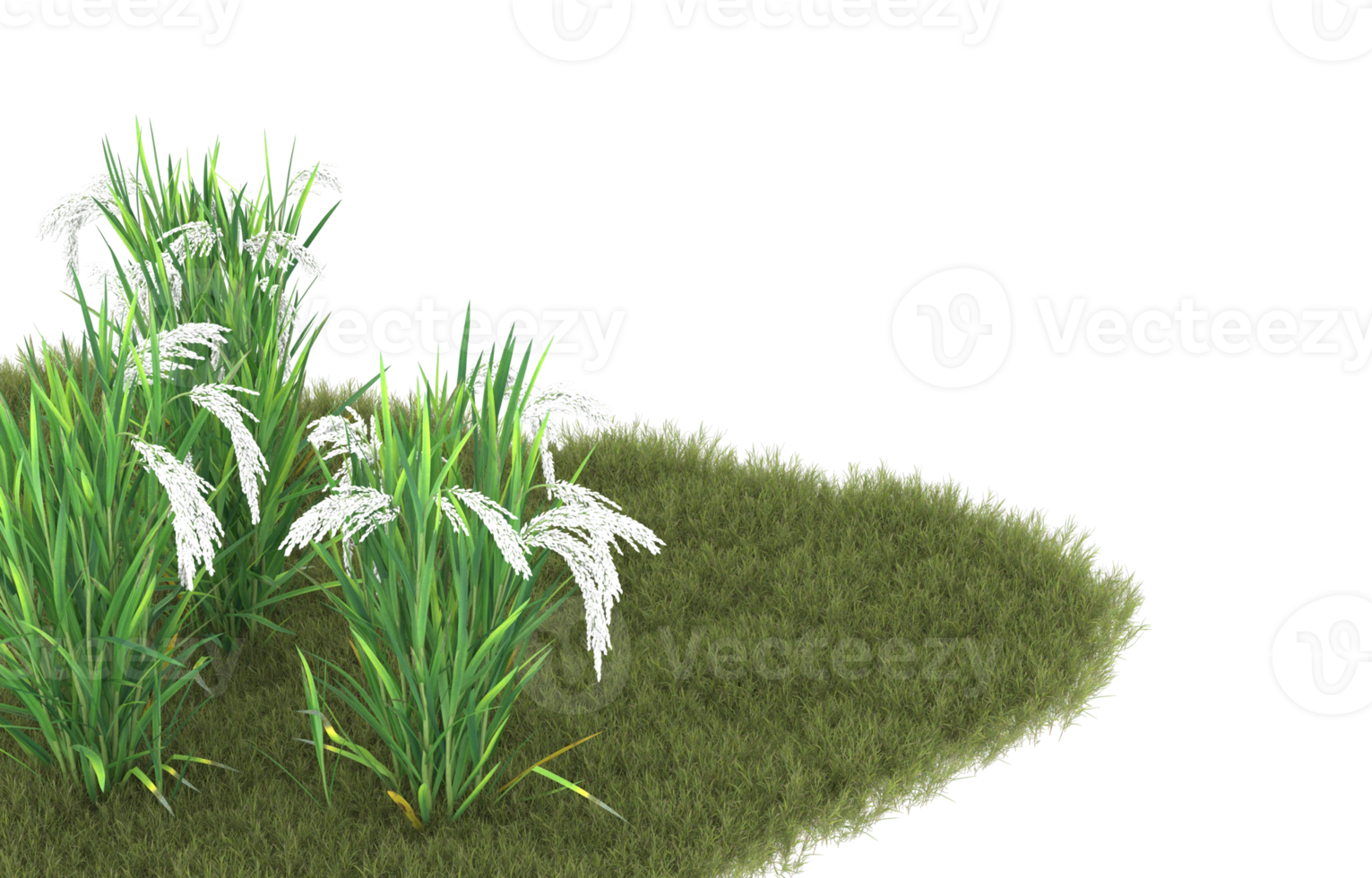 Realistic foliage isolated on transparent background. 3d rendering - illustration png