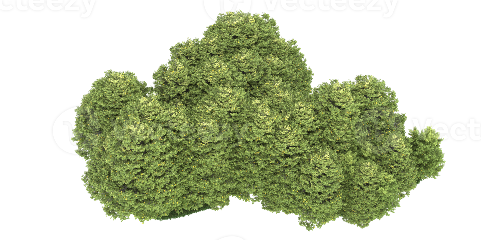 Realistic forest isolated on transparent background. 3d rendering - illustration png